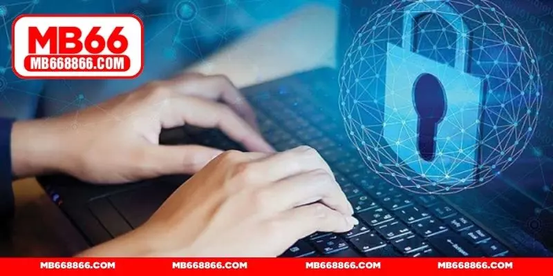 Hệ thống cookies tối ưu hiệu suất dùng website MB66.COM
